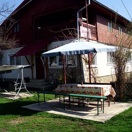 Vila Mihaela Breaza (Prahova) Exterior foto