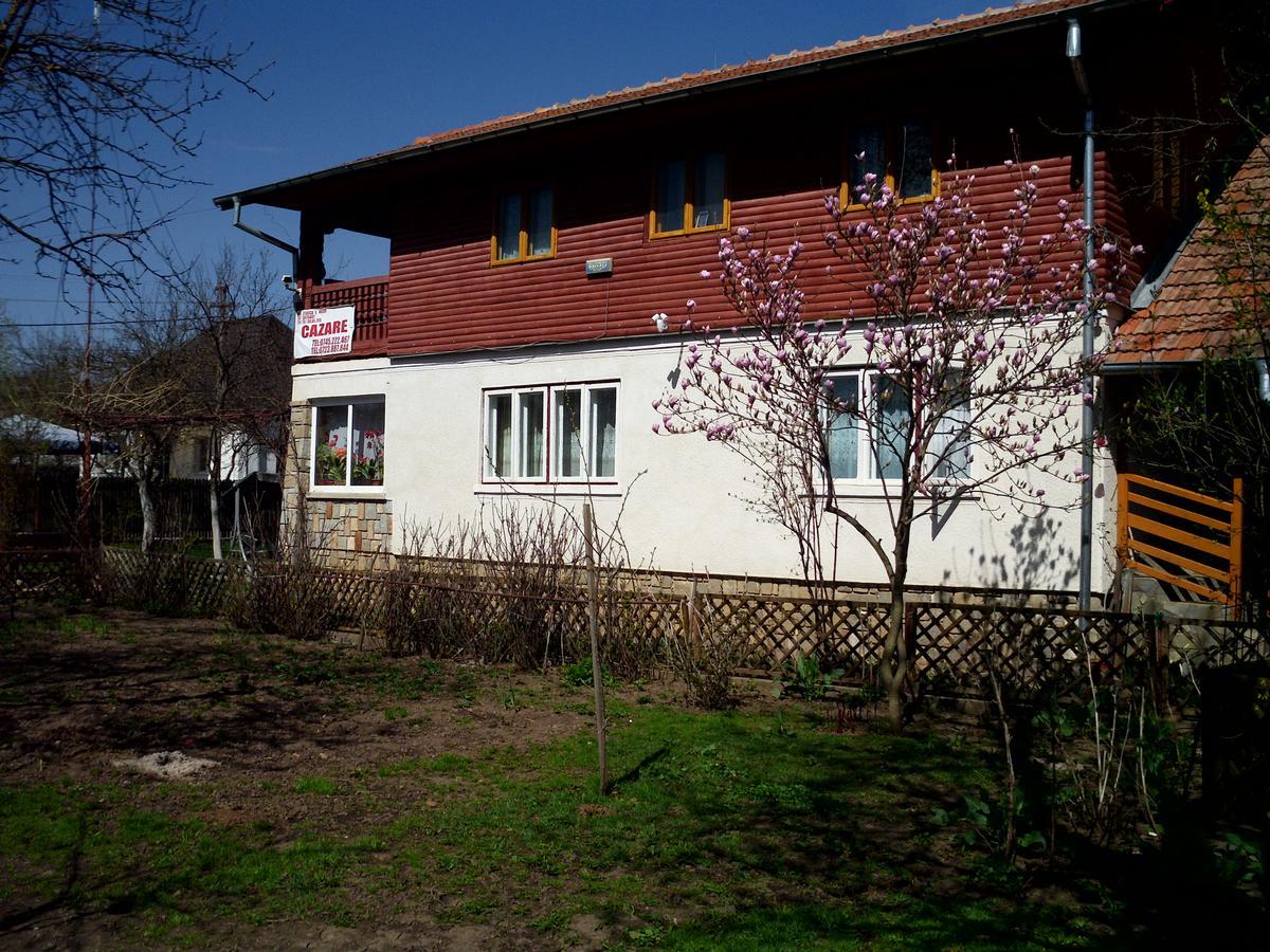 Vila Mihaela Breaza (Prahova) Exterior foto