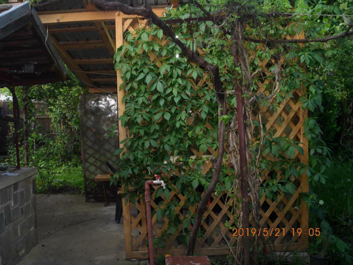Vila Mihaela Breaza (Prahova) Exterior foto