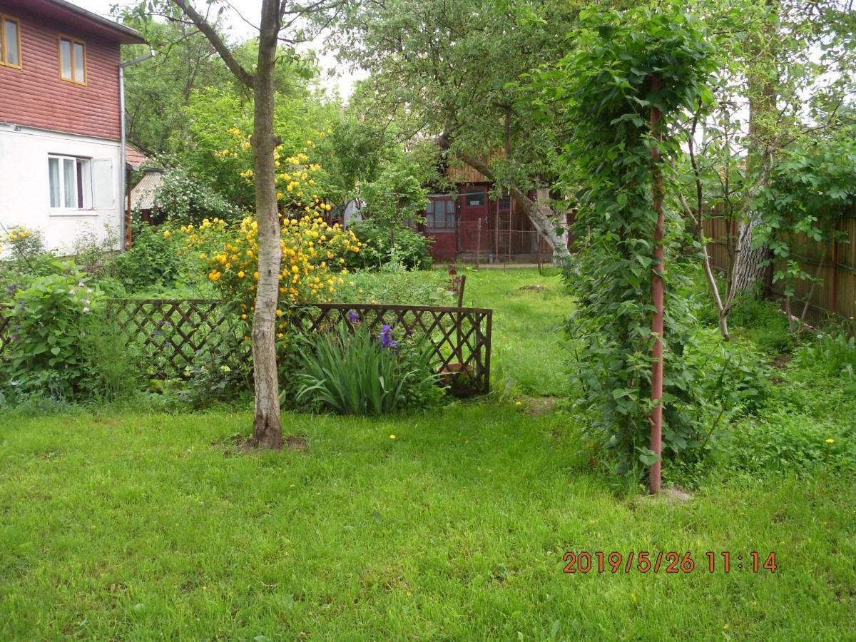 Vila Mihaela Breaza (Prahova) Exterior foto