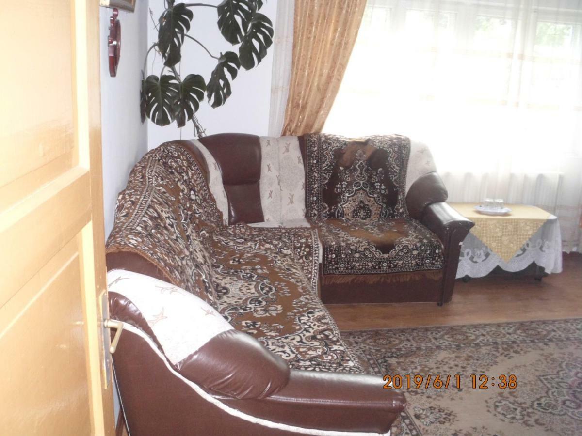 Vila Mihaela Breaza (Prahova) Exterior foto