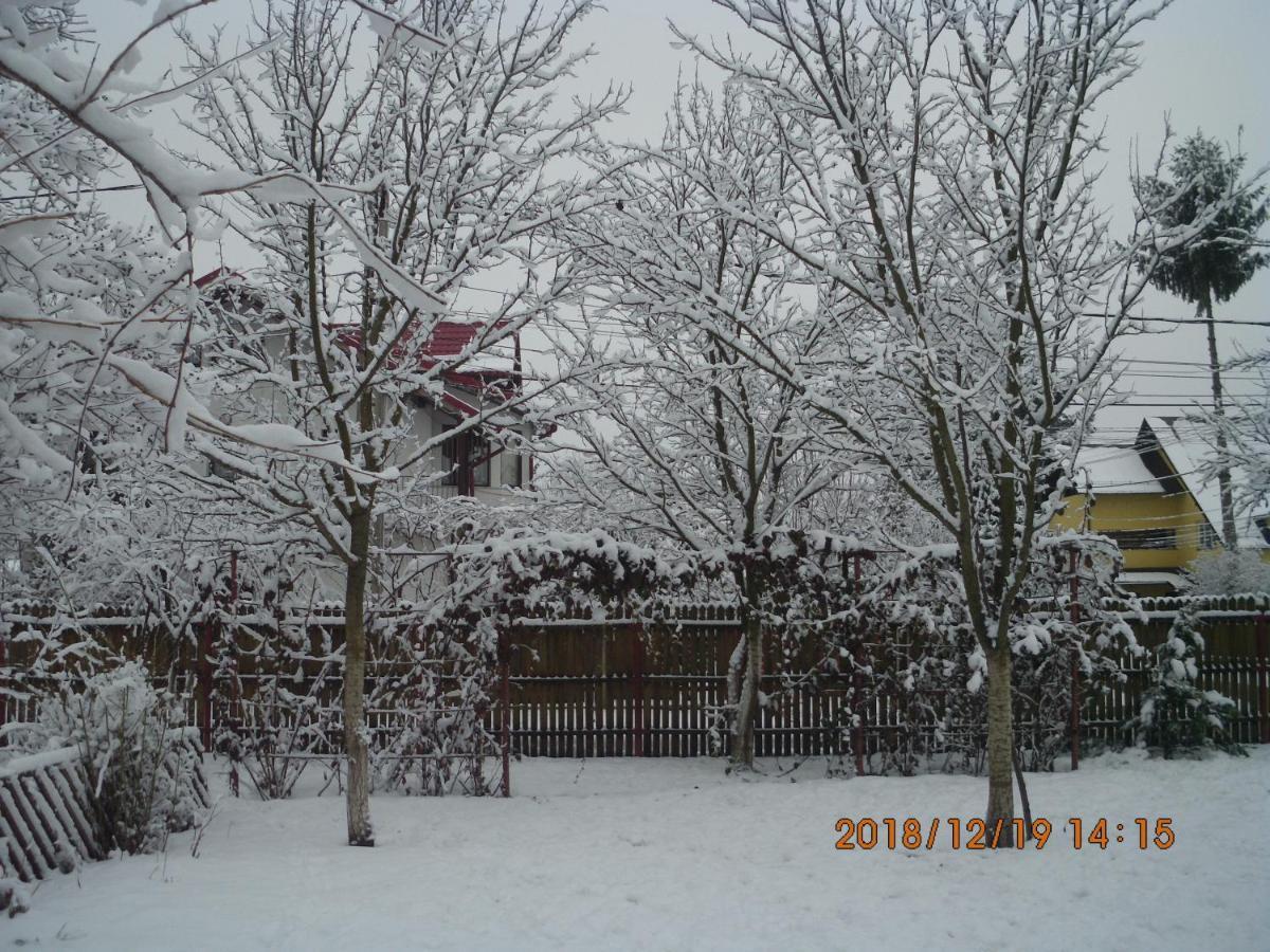 Vila Mihaela Breaza (Prahova) Exterior foto