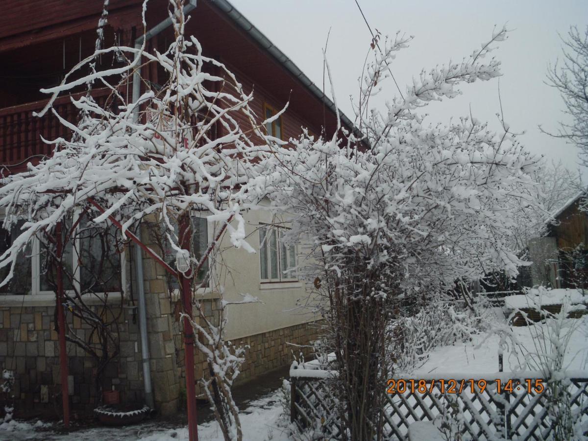 Vila Mihaela Breaza (Prahova) Exterior foto