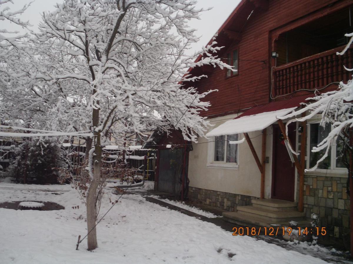Vila Mihaela Breaza (Prahova) Exterior foto
